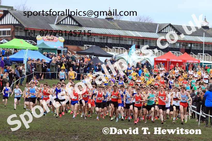 Senior Boys 2024 English Schools Cross Country Champs., Pontefract, March 16th.  Photo: David T. Hewitson/Sports for All Pics